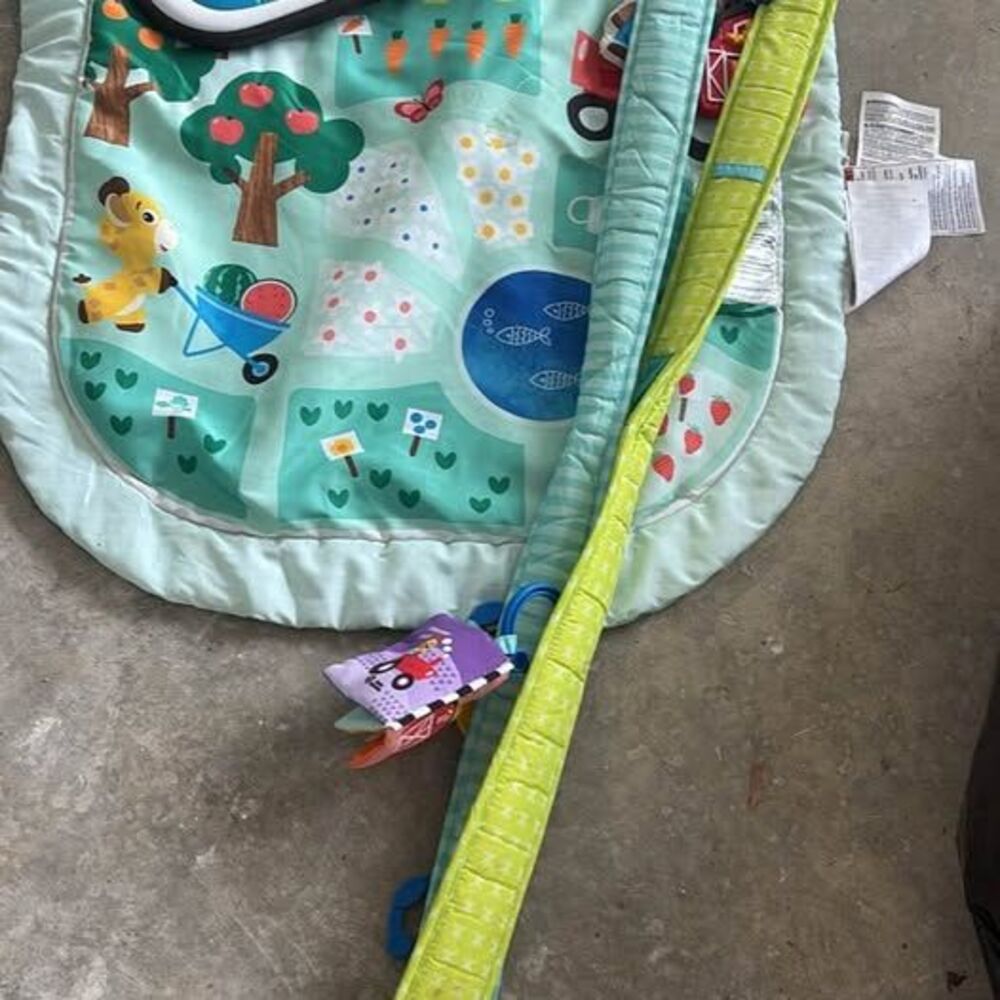 Baby Einstein Baby Play Mat